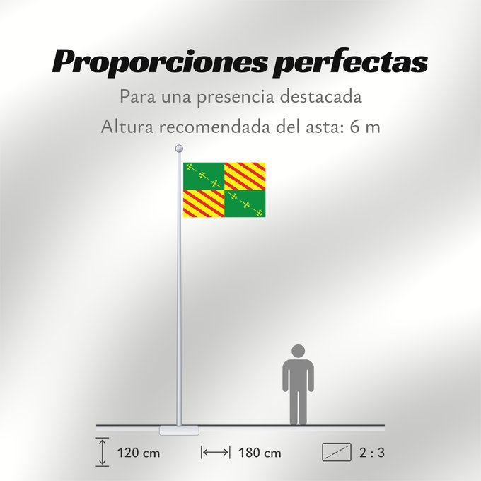 Proporciones de la bandera: Bernissart	Municipal flag of Bernissart, Belgium