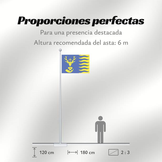 Proporciones de la bandera: Saint-Hubert, Belgium	Saint-Hubert	Saint-Hubert  Belgique	Vlagge van Saint-Hubert