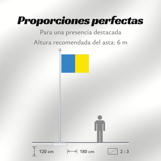 Proporciones de la bandera: Temse	Municipality Temse  Belgium	Belgischen Gemeinde Temse	Gemeente Temse