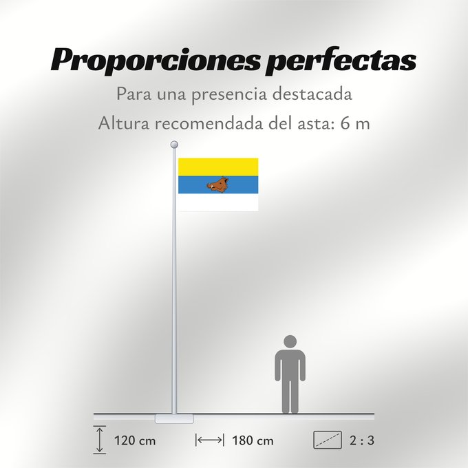 Proporciones de la bandera: Zaventem	Belgian municipality of Zaventem	Commune belge de Zaventem	Belgischen Gemeinde Zaventem	Vlaams-Brabantse gemeente Zaventem