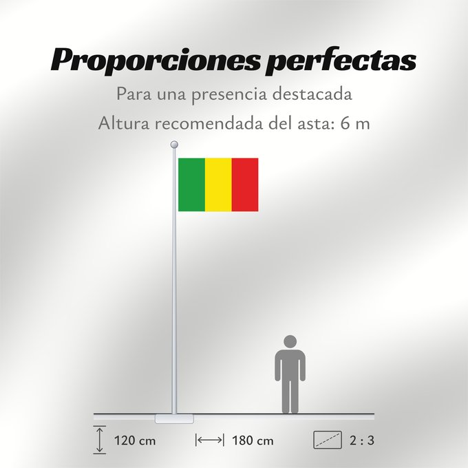 Proporciones de la bandera: Zele	Belgian city and municipality Zele	Gemeente Zele