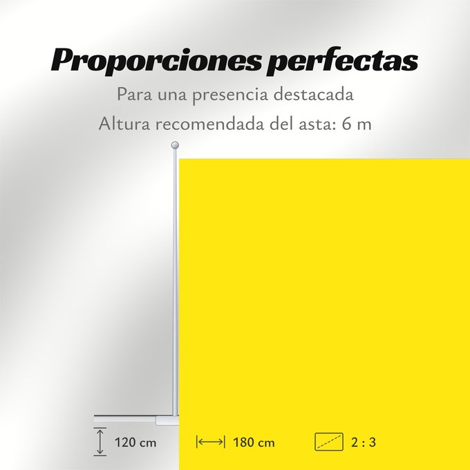 Proporciones de la bandera: Zingem	Belgian municipality Zingem