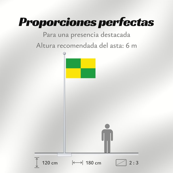 Proporciones de la bandera: Zulte Belgian commune of Zulte