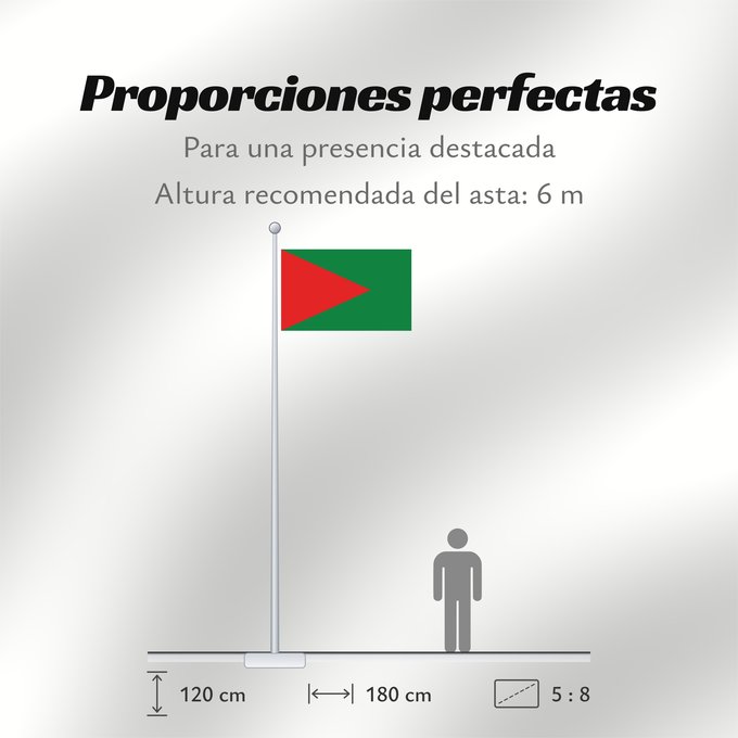 Proporciones de la bandera: El Alto