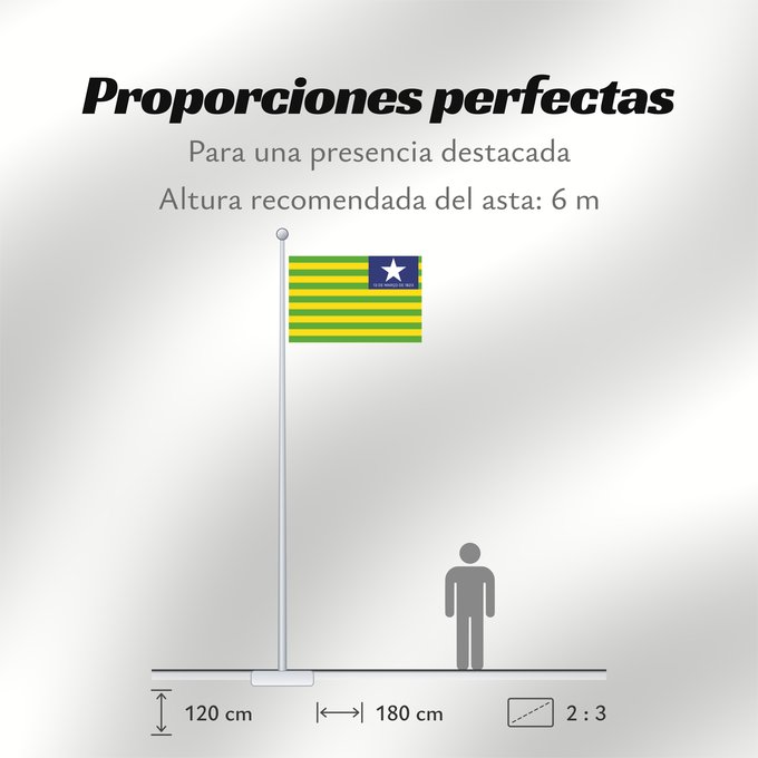 Proporciones de la bandera: Piauí verso Verse of the flag of the state of Piaui designed by me in accordance with the state law of 1,050 Piauí (envers) Piauí (reverso) Piauí (Rückseite) Versetto di bandiera dello stato di Piauí progettato da me in conformità con la legge n Verso da