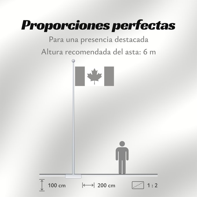 Proporciones de la bandera: CanadaFlagBW National Flag of Canada