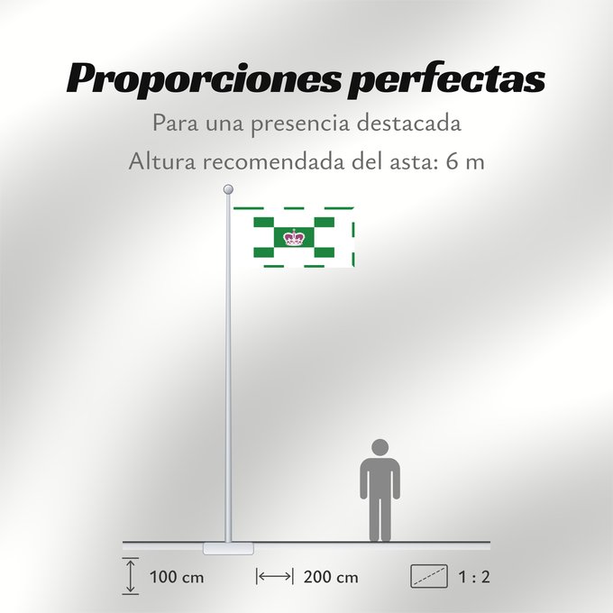 Proporciones de la bandera: Charlottetown