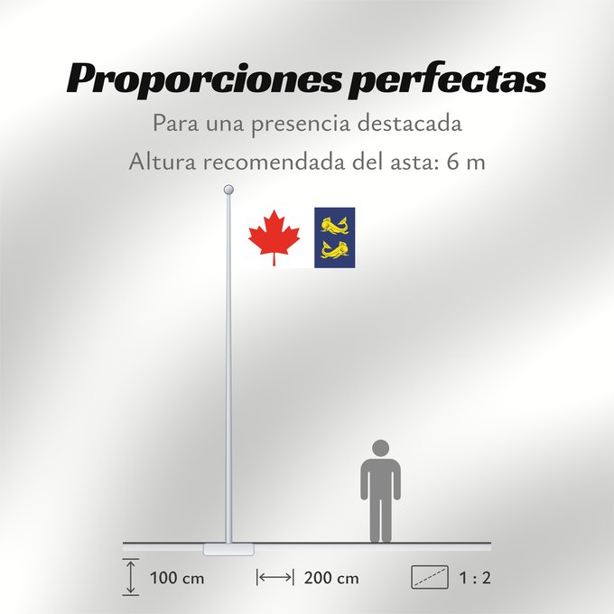 Proporciones de la bandera: Coastguard Flag of Canada