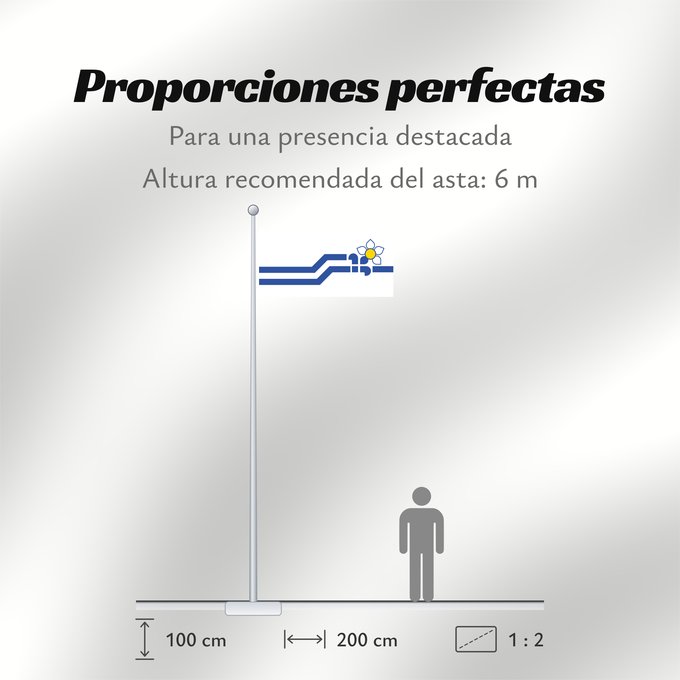 Proporciones de la bandera: Franco-Colombiens	Franco-Colombianos	Franco-Kolumbianer	Franco-Colombiani
