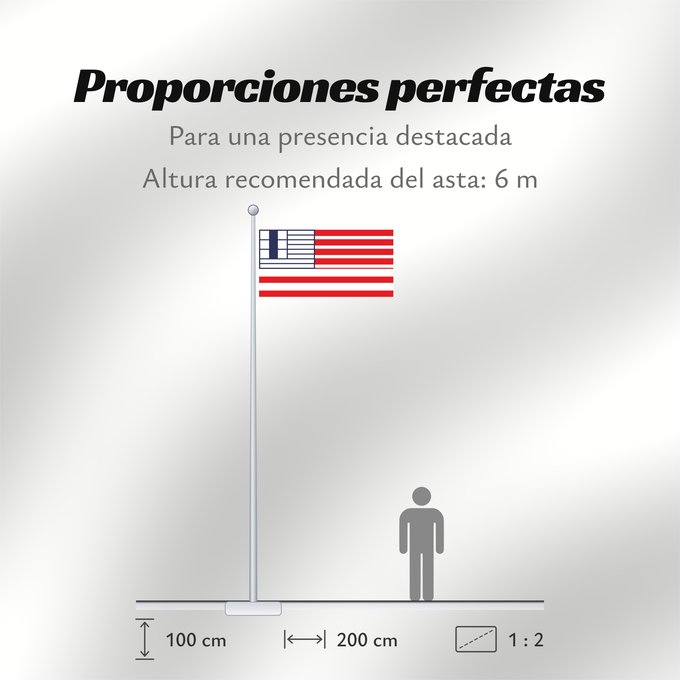 Proporciones de la bandera: Lethbridge	Lethbridge, Alberta, Canada