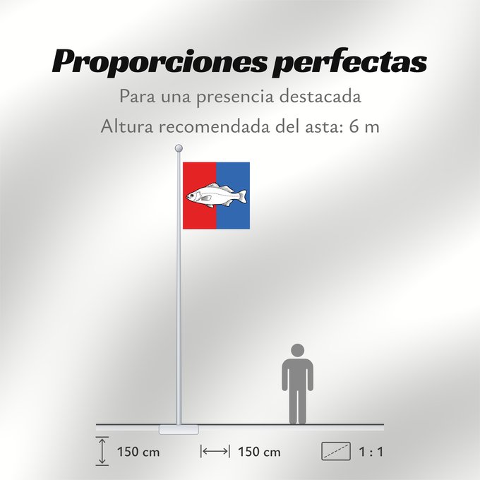 Proporciones de la bandera: CHE Nyon Swiss city Nyon Miasta Nyon w Szwajcarii