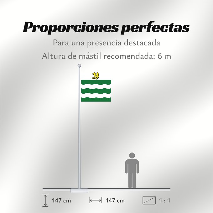 Proporciones de la bandera: Yverdon-les-Bains	Yverdon-les-Bains  Switzerland