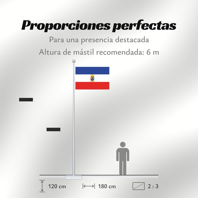 Proporciones de la bandera: Chillán Viejo
