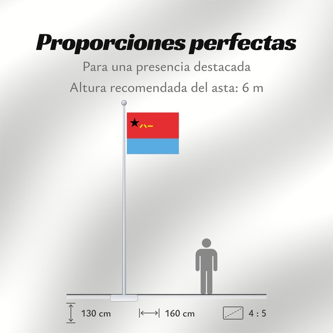 Proporciones de la bandera: Air Force Flag of the People s Republic of China