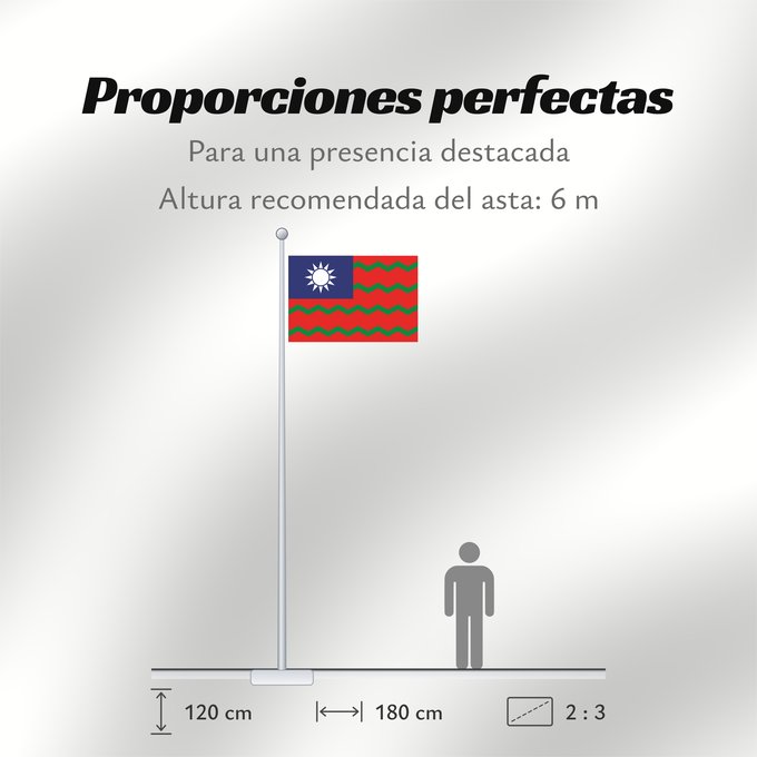 Proporciones de la bandera: Ensign of the Chinese Maritime Customs Service