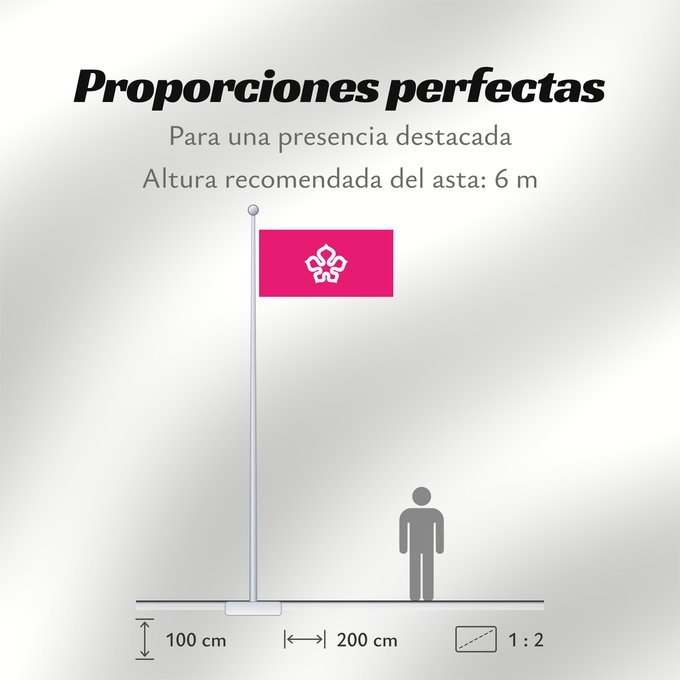 Proporciones de la bandera: HKUrbanCouncil