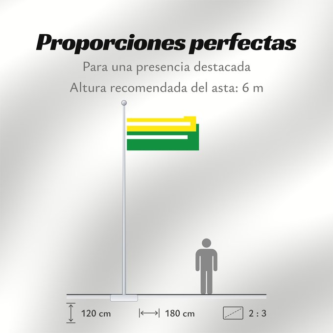 Proporciones de la bandera: Albán  Cundinamarca	Albán (Cundinamarca)	Municipio de Albán  Cundinamarca