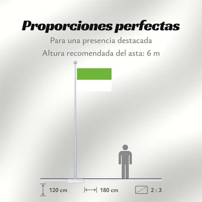Proporciones de la bandera: Alcalá  Valle del Cauca	Alcalá (Valle del Cauca)	Municipio de Alcalá  Valle del Cauca