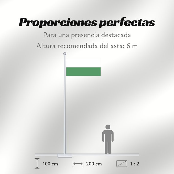 Proporciones de la bandera: Aranzazu  Caldas	Aranzazu (Caldas)	Municipio de Aranzazu  Caldas