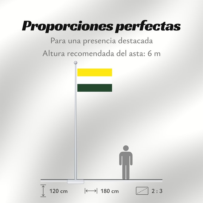 Proporciones de la bandera: Arenal  Bolívar	Arenal (Bolívar)	Municipio de Arenal  Bolívar
