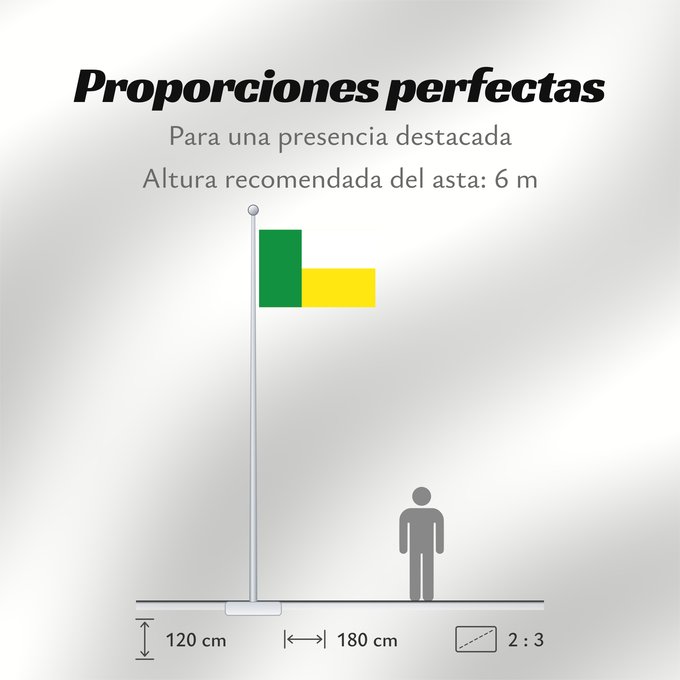 Proporciones de la bandera: Betulia  Santander	Betulia (Santander)	Municipio de Betulia  Santander