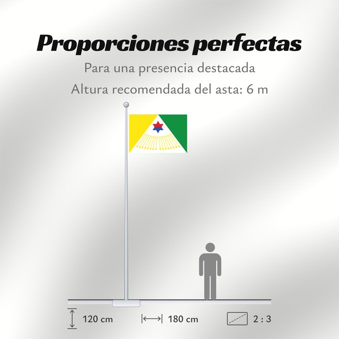 Proporciones de la bandera: Bituima  Cundinamarca	Bituima (Cundinamarca)	Municipio de Bituima  Cundinamarca