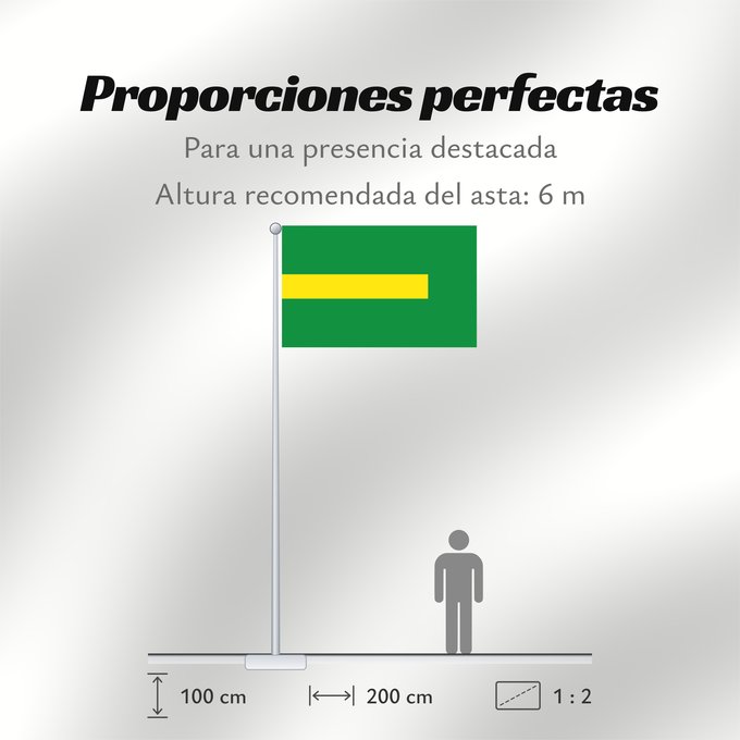 Proporciones de la bandera: Caucasia  Antioquia	Caucasia (Antioquia)	Municipio de Caucasia  Antioquia