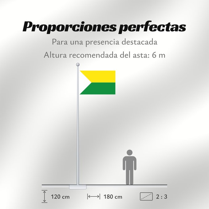 Proporciones de la bandera: Chaguaní Cundinamarca Chaguaní (Cundinamarca) Municipio de Chaguaní Cundinamarca