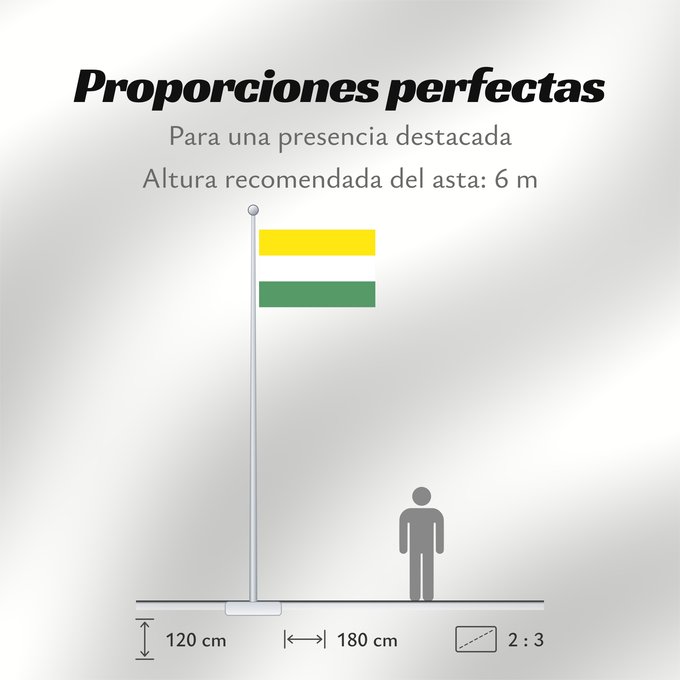 Proporciones de la bandera: Cucaita  Boyacá	Cucaita	Municipio de Cucaita  Boyacá