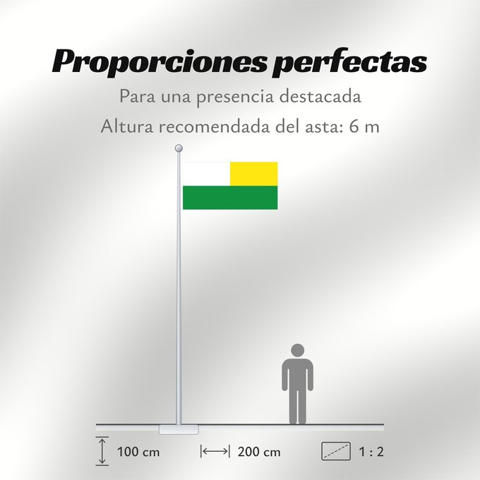 Proporciones de la bandera: El Espinal Tolima El Espinal (Tolima) Municipio de El Espinal Tolima