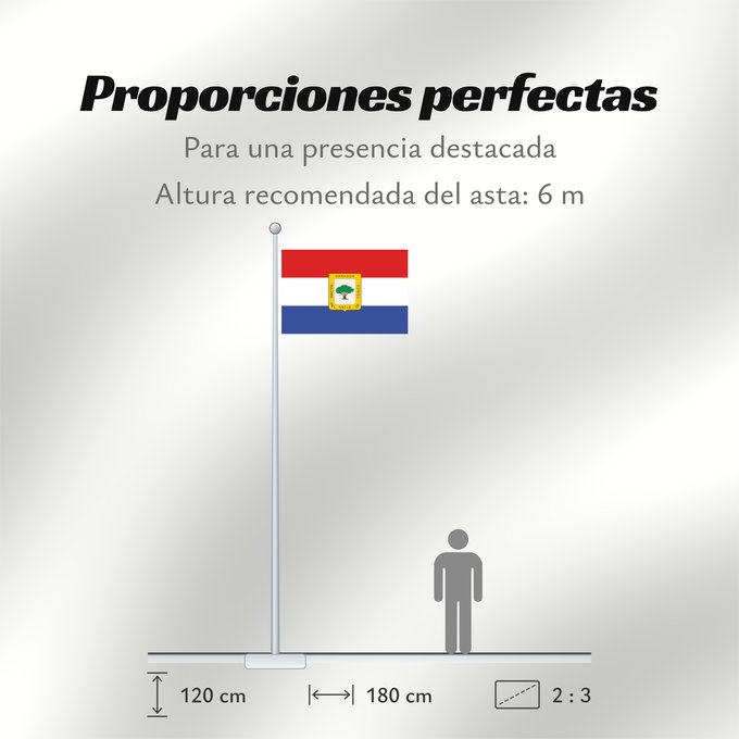 Proporciones de la bandera: Garagoa Garagoa, Colombia