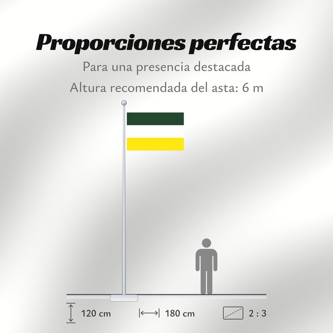 Proporciones de la bandera: La Jagua de Ibirico  Cesar	La Jagua de Ibirico (Cesar)	Municipio de La Jagua de Ibirico  Cesar