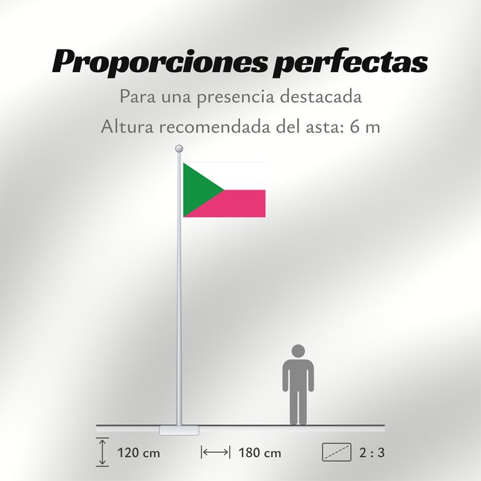 Proporciones de la bandera: La Tebaida Quindío La Tebaida (Quindío) Municipio de La Tebaida Quindío