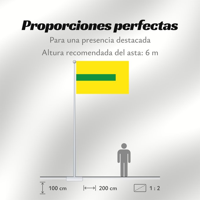 Proporciones de la bandera: La Virginia Risaralda La Virginia (Risaralda) Municipio de La Virginia Risaralda