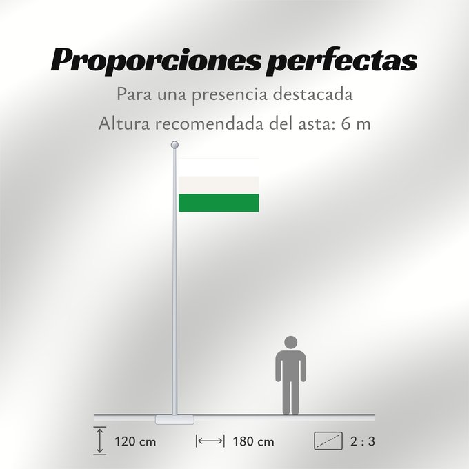 Proporciones de la bandera: Los Santos  Santander	Los Santos (Santander)	Municipio de Los Santos  Santander