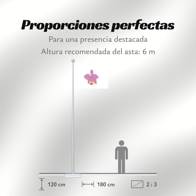 Proporciones de la bandera: Macanal  Boyacá	Macanal (Boyacá)	Municipio de Macanal  Boyacá