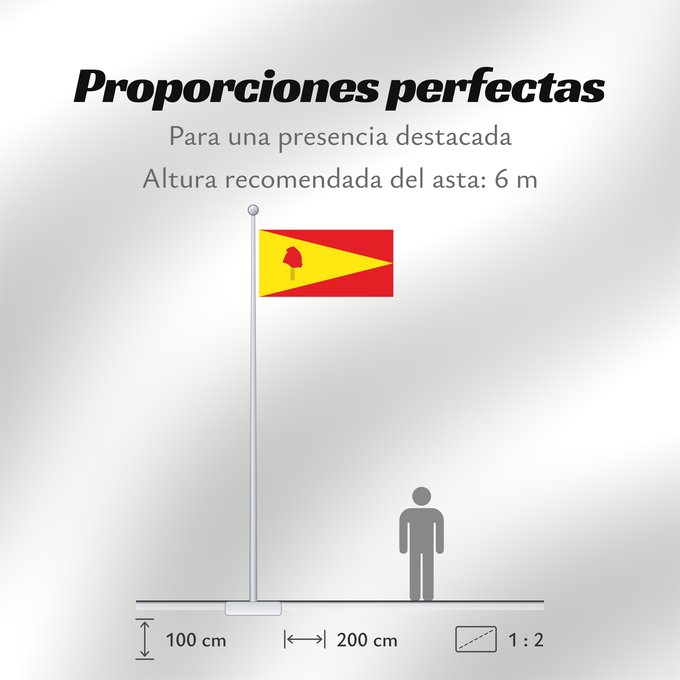 Proporciones de la bandera: Pereira  Risaralda	Pereira	Ciudad de Pereira  Risaralda
