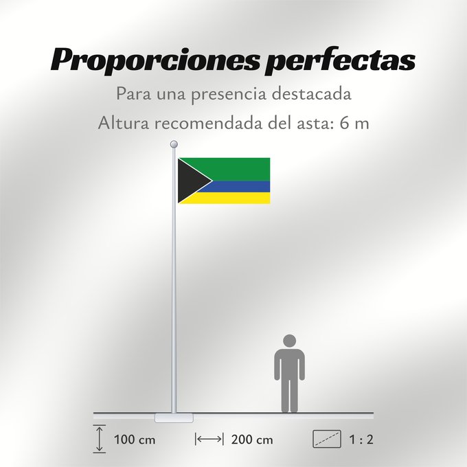 Proporciones de la bandera: Piamonte  Cauca	Piamonte (Cauca)	Municipio de Piamonte  Cauca