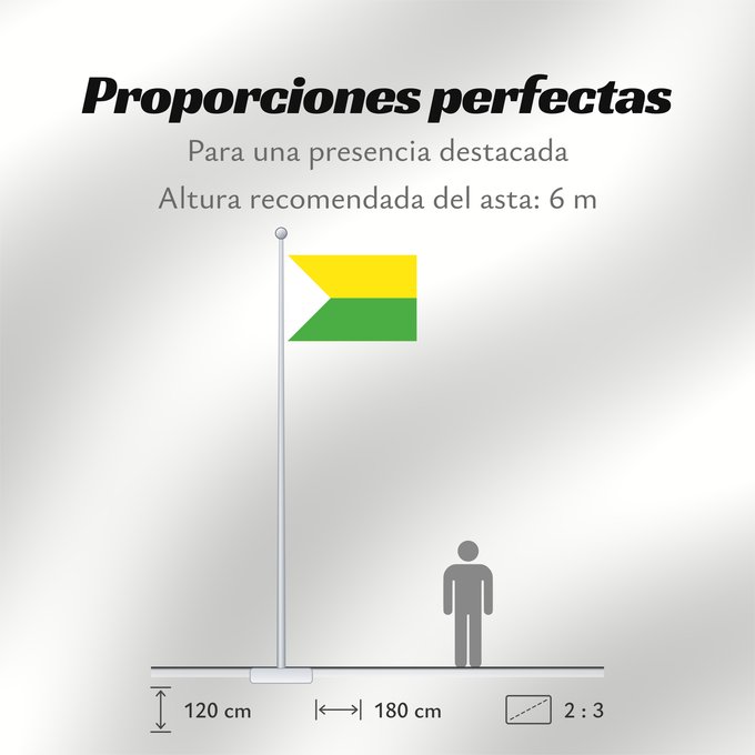 Proporciones de la bandera: Puerto Carreño Capital de Vichada Puerto Carreño