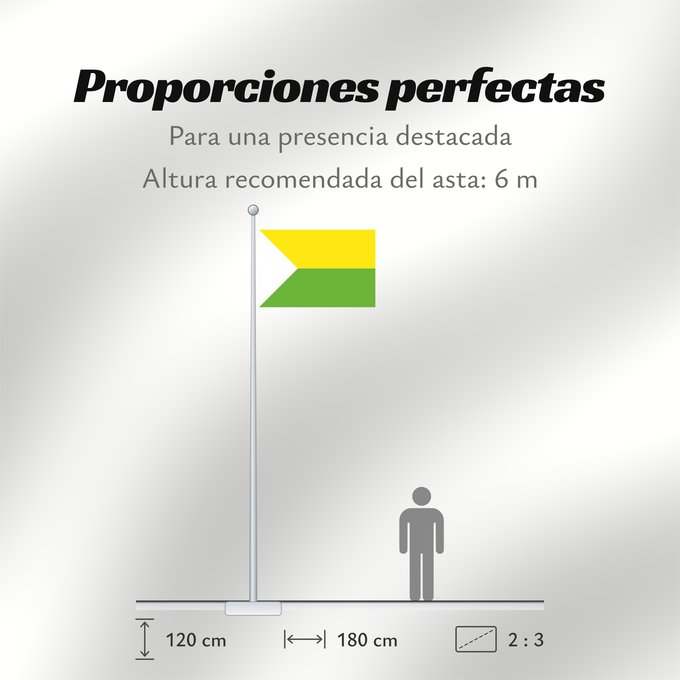 Proporciones de la bandera: Puerto Carreño Vichada Puerto Carreño (Vichada) Municipio de Puerto Carreño Vichada