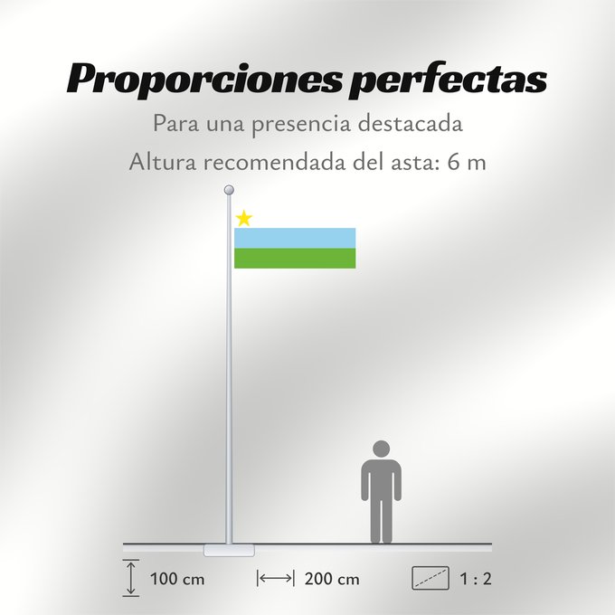 Proporciones de la bandera: Puerto Guzmán  Putumayo	Puerto Guzmán (Putumayo)	Municipio de Puerto Guzmán  Putumayo