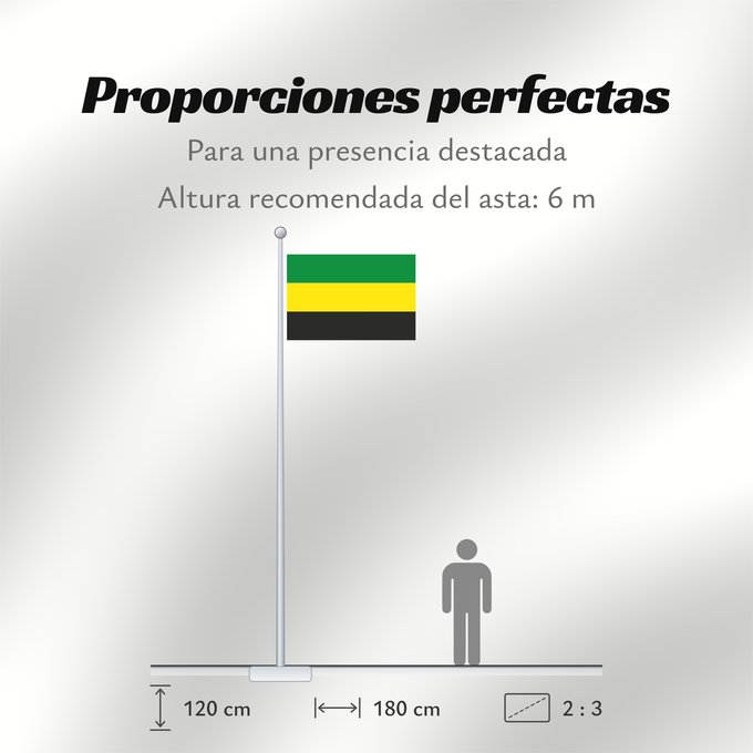 Proporciones de la bandera: Puerto Libertador Córdoba Puerto Libertador (Córdoba) Municipio de Puerto Libertador Córdoba