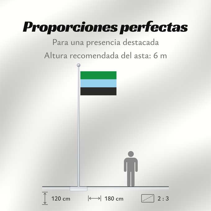 Proporciones de la bandera: Puerto Wilches Santander Puerto Wilches Municipio de Puerto Wilches Santander