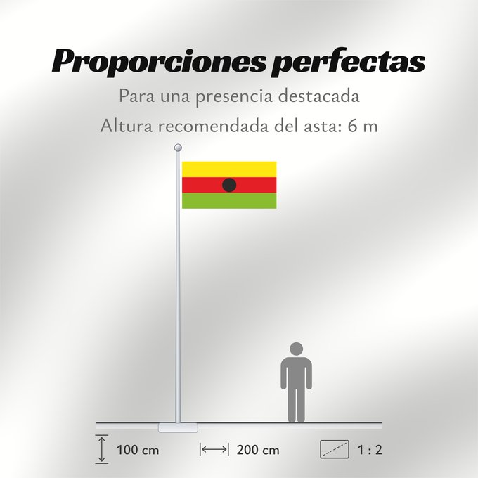 Proporciones de la bandera: Quinchía  Risaralda	Quinchía (Risaralda)	Municipio de Quinchía  Risaralda