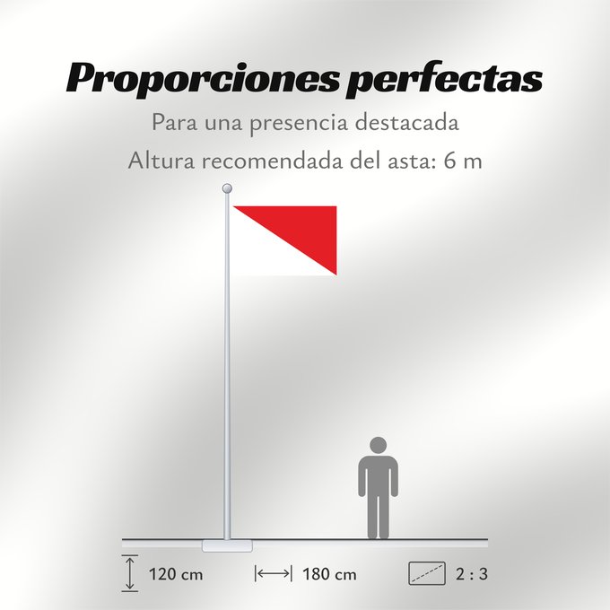 Proporciones de la bandera: Ricaurte Cundinamarca Ricaurte (Cundinamarca) Municipio de Ricaurte Cundinamarca