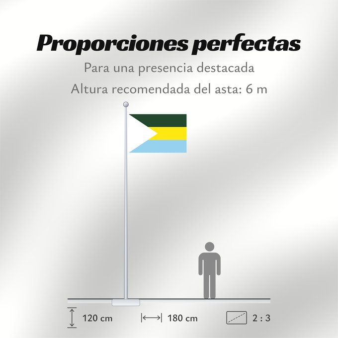 Proporciones de la bandera: San Jacinto del Cauca Bolívar San Jacinto del Cauca Municipio de San Jacinto del Cauca Bolívar