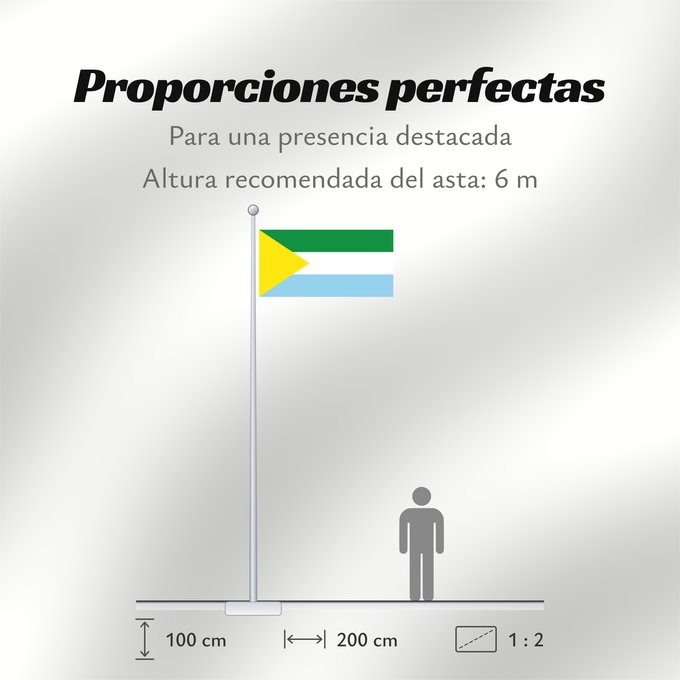 Proporciones de la bandera: San Vicente de Caguán Caquetá San Vicente de Caguán Municipio de San Vicente del Caguán Caquetá