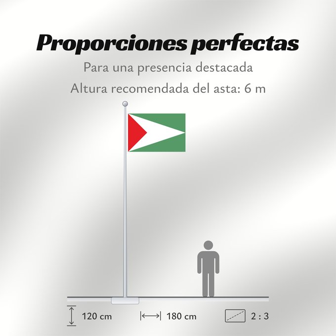 Proporciones de la bandera: Sandoná  Nariño	Sandoná (Nariño)	Municipio de Sandoná  Nariño
