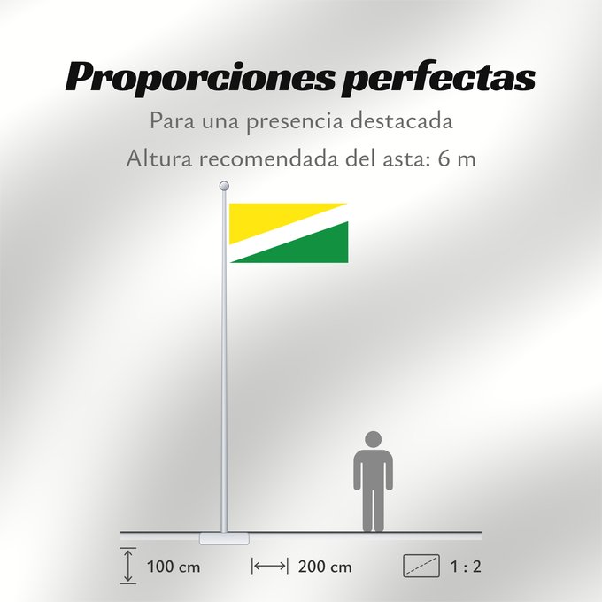 Proporciones de la bandera: Santa Rosalía Vichada Santa Rosalía (Vichada) Municipio de Santa Rosalía Vichada