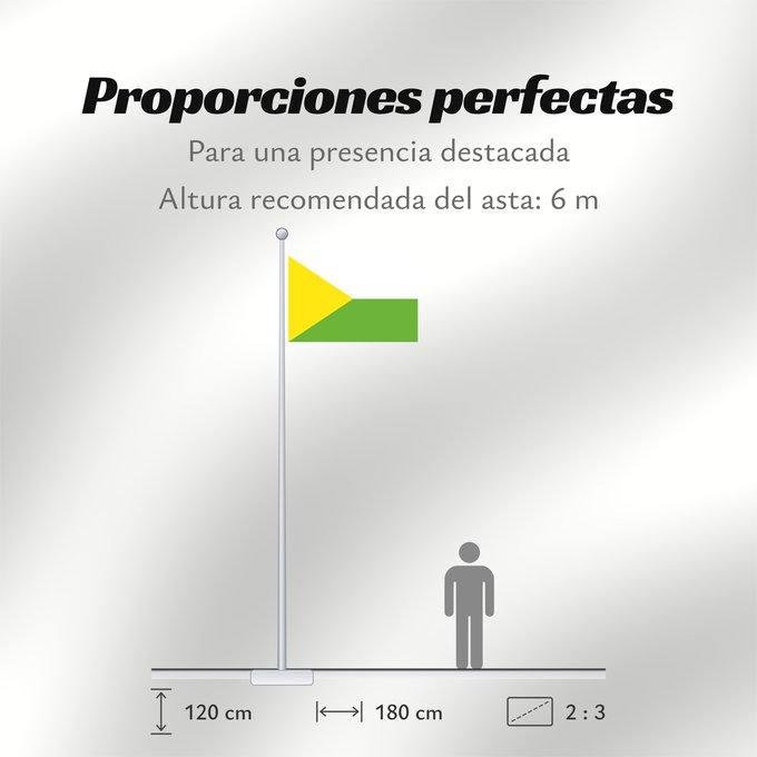 Proporciones de la bandera: Taraira Vaupés Taraira Municipio de Taraira Vaupés
